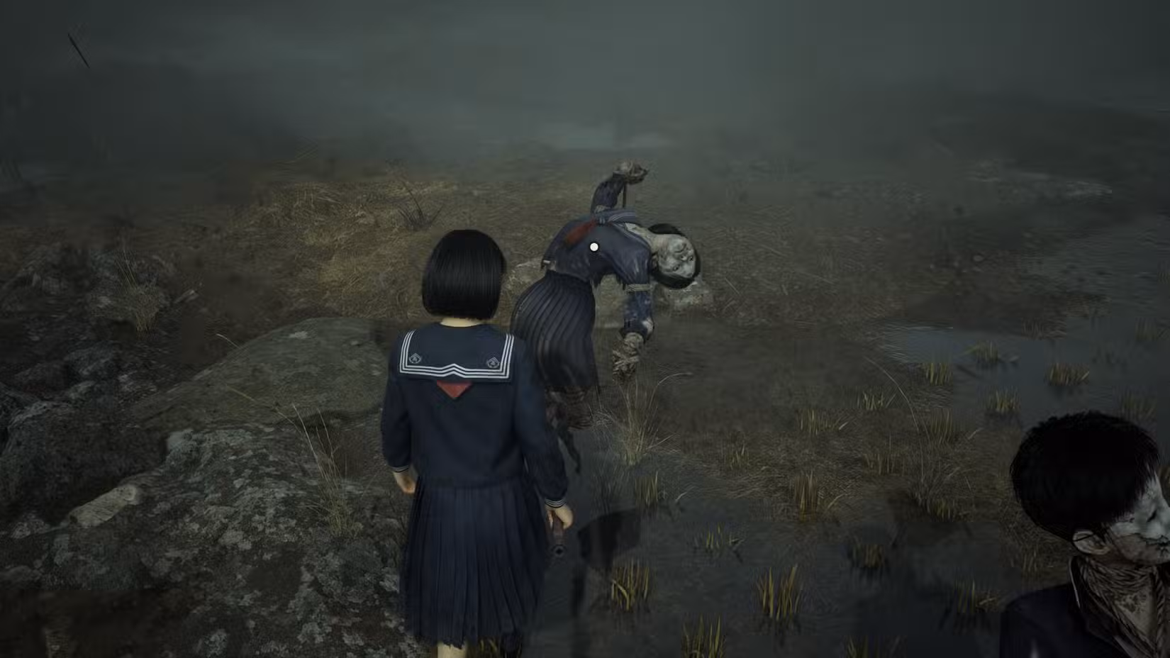 مترسک سوم که در مزرعه تنها مانده و به زوج دیگری نگاه میکند.