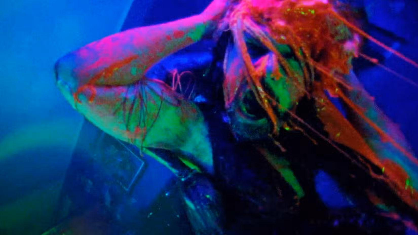 صحنهای سورئال و رنگارنگ با نورهای نئونی از فیلم ترسناک و عجیب Jimmy & Stiggs.