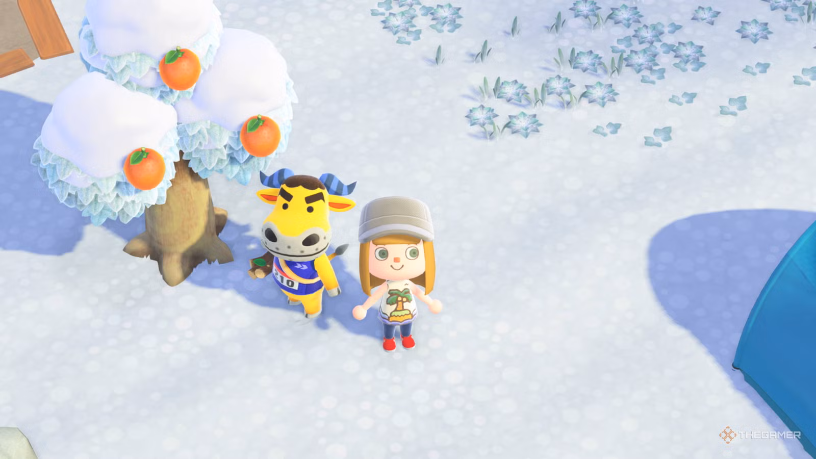Animal Crossing: New Horizons